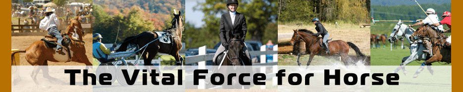 The Vital Force for Horse