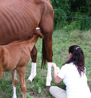 Kristina wrapping Joy's legs.